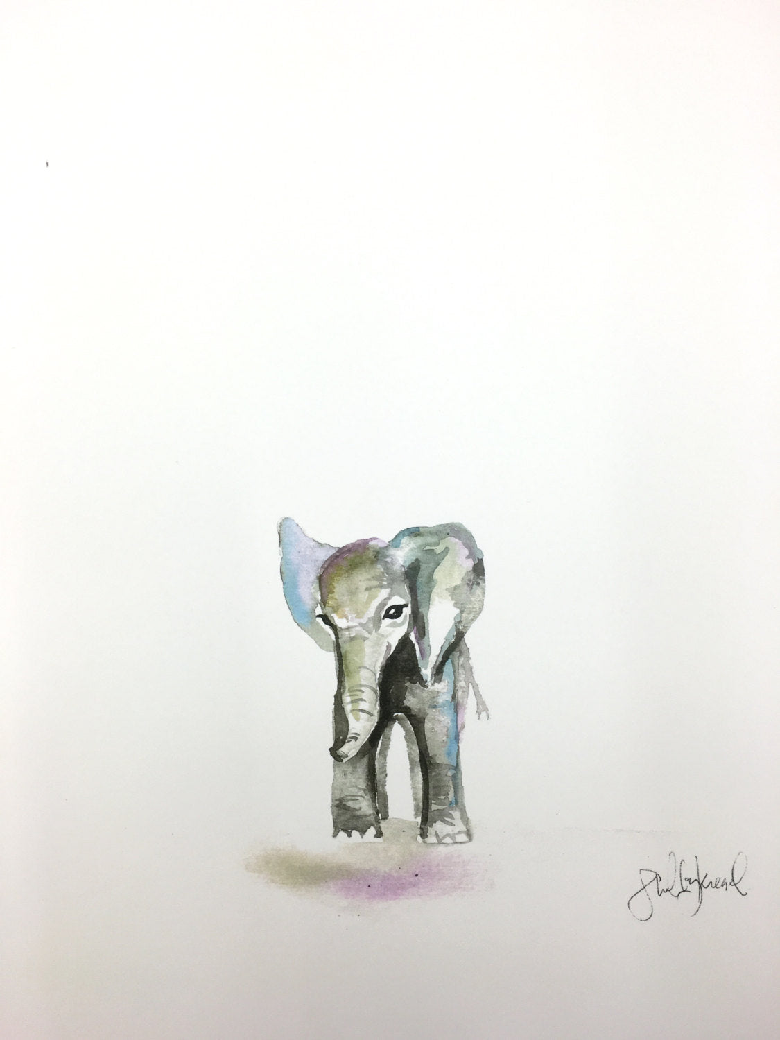 Elephant painting