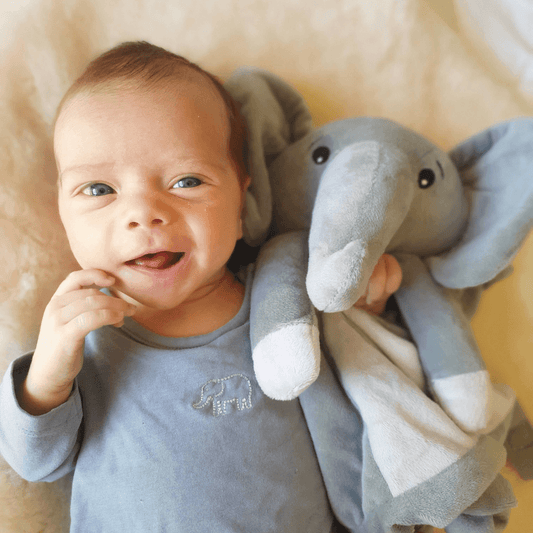 elephant baby sleeping ad